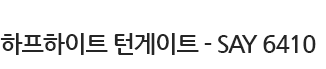출입 게이트